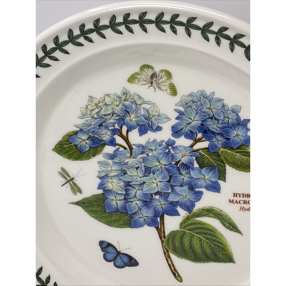 Vintage Portmeirion Botanic Garden Dinner Plate Hydrangea design Leaf border - Picture 3 of 8